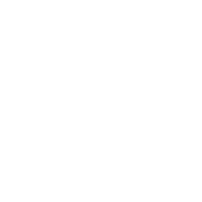 Shopify Rebellion
