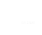 x5 Gaming