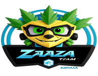 TEAM ZAZA