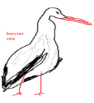 Bociarnia
