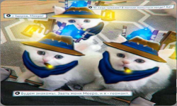 3 meepos 1 manta