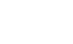 Team Den