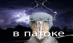GALOIIIU