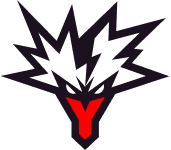 Team Yandex